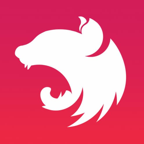 Nest JS