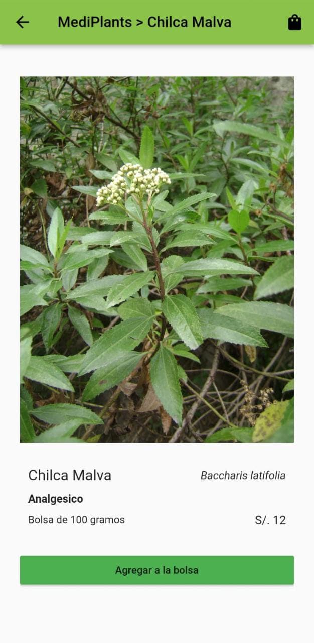 mediplants.jpeg